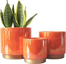 Ceramic Indoor Pots for Plants,New free freight picture