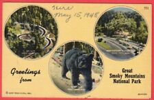 Vintage Postcard 1930s Greetings from Great Smoky Mountains National Park Bear picture