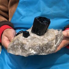 3.67LB Natural Black Tourmaline And Quartzite Symbiotic Mineral Specimen Healing picture