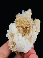 Unusual AQUAMARINE TOPAZ Crystals Host on Golden MUSCOVITE and ALBITE From PAK picture
