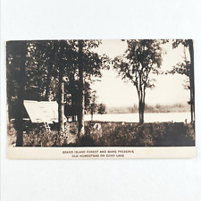Grand Island Nature Preserve Postcard 1930s Michigan Echo Lake Forest Art A2569 picture