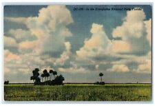 1948 In The Everglades National Park Everglades Florida FL Posted Cloud Postcard picture