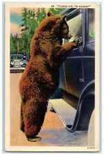 c1940 Please Sir I'm Hungry Bear Holdup Spokane Washington WA Vintage Postcard picture