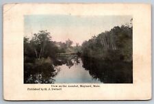 View On The Assabet Maynard MA C1911 Postcard T16 picture