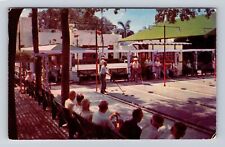 St Petersburg FL- Florida, Playing Shuffleboard, Antique, Vintage c1955 Postcard picture