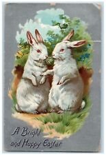 1912 Easter Bunny Rabbits Flowers Embossed Tuck's Tampa Florida FL Postcard picture
