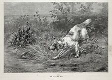 Dog English Setter or Red and White Setter Pointing Quail, 1880s Antique Print picture