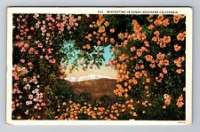 CA-California, Wintertime in Sunny Southern CA, Antique Vintage Postcard picture