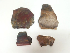 Estate Find OLD RAINBOW PETRIFIED WOOD ROUGH SPECIMEN ARIZONA Red Brown Lot A picture
