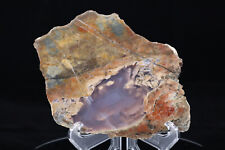 {OOAK} FLORIDA MOUNTAIN AGATE - NEW MEXICO - POLISHED picture