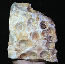 8 lb Natural Original Agate Quartz Crystal Stone Mineral Specimen Madagascar picture