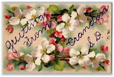Crandon South Dakota SD Postcard Greetings Flower Glitter c1907 Vintage Antique picture