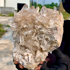 4.06LB A+++Large Natural white Crystal Himalayan quartz cluster /mineralsls picture