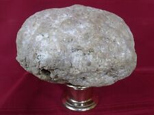Extra Large Unopened Kentucky Geode 25.7 Pounds Rare Crystal Quartz Unique Gift picture