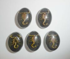 Insect Cabochon Golden Scorpion Oval 18x25 mm on black bottom 5 pieces Lot picture