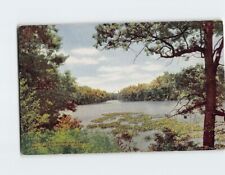 Postcard View On Bronx Lake New York Zoological Park Bronx New York USA picture