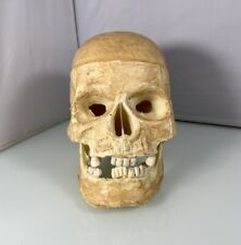 Vintage Realistic Human Skull Life Size Replica w/ Moving Jaw, Rare Topstone Ind picture