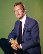 The Invaders Roy Thinnes 8x10 real Photo picture