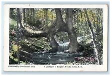 c1910's A Cool Spot In Burpee's Wood Hollis New Hampshire NH Antique Postcard picture