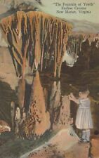 New Market Virginia The Fountain of Youth Endless Caverns Vintage Linen Postcard picture