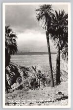 Indio California, Biskra Palms Desert Scenic View, VTG RPPC Real Photo Postcard picture