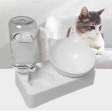 Pet Food Bowl & Feeder picture