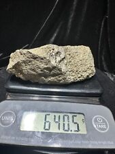 Silver-Gold Ore Minerals 650g High Grade Rare Find Colorado Epithermal picture