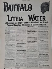 1899 Buffalo Lithia Water Print Advertisement Harper's Weekly Quack Medicine picture