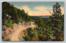 c1937 Sandia Loop Road, Near Albuquerque, New Mexico NM VINTAGE Postcard picture