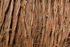 25ft RUSTY BARBED WIRE western cowboy decor rustic barb picture