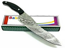 BEAUTIFUL CUSTOM HAND MADE DAMASCUS STEEL HUNTING CHEF KNIFE KITCHEN KNIFE picture
