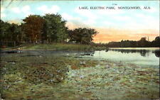Lake ~ Electric Park ~ Montgomery Alabama ~ c1910 postcard picture