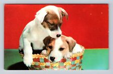 Lodi OH-Ohio, General Greetings, Fox Terrier Pups, Antique, Vintage Postcard picture