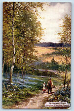 Plymouth Devon England Postcard Springtime Radford c1910 Oilette Tuck Art picture