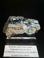 Benitoite & Neptunite On Natrolite Matrix From San Benito County, California picture