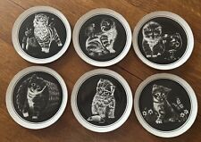 6 - 9” Cat Kittens World Collectible Plate Droguett Black White Original Boxes picture