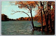 Vintage Postcard MI Brethren Greetings Boat Fall Foligage Lake Chrome picture