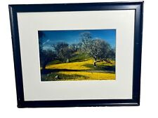 Vintage Framed Photo Of The Ohlone Regional Wilderness By Bob Walker  picture