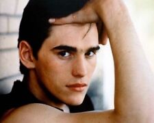 Matt Dillon 4x6 inch photo portrait from The Outsiders picture