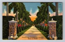 FL-Florida, Entrance & Driveway To A Beautiful Estate, Antique Vintage Postcard picture