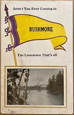 Rushmore Minnesota River Photo Pennant I’m Lonesome MN Vintage Postcard c1910 picture