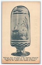 c1940's A Lost Art This Jar Contains Natural Colored Sand McGregor IA Postcard picture