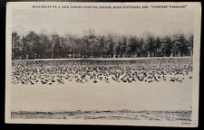 Vintage Postcard 1933 Wild Ducks, Hunting Season, Stuttgart, Arkansas (AR) picture