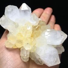 275g Museum Quality Transparent White Quartz Crystal Cluster Mineral Specimen picture