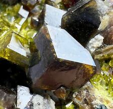 288 GM Full Terminated Andradite C/With Vesuvianite Crystals Bunch On Matrix picture