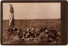 Vintage Grave with Flowers Cabinet Card picture
