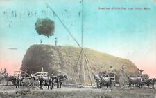 Stacking Alfalfa Hay Near Dillion Montana 1912 Postcard picture