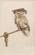 J81/ Interesting RPPC Postcard c1910 Hillsdale College Michigan Owl Graduate 156 picture