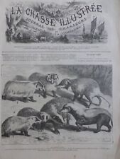 1871 1877 Badgers 8 Newspapers Antique picture