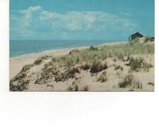 Massachusetts Cape Cod Beach Dunes Scene Postcard D23 picture